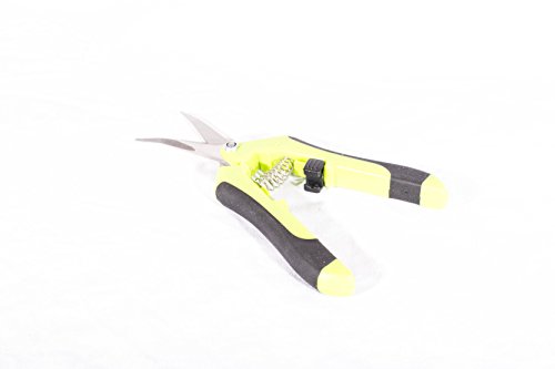 Forbici idroponiche dritte per tagliare le foglie