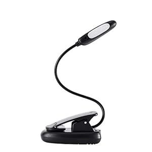 ZDAMN Muziek Stand Lichten Muziek Stand Licht Clip On Piano Licht Oplaadbaar Nachtlampje Wordt geleverd met USB-kabel…