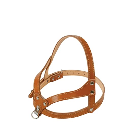 Coleira Peitoral Em Couro Reforçada Regulável Luxo Cachorro N.4 /5/ 6 (6, Caramelo)