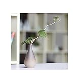 2, elegantes Design: Aufgrund des einfachen und einzigartigen Designs kann diese Vase aus Keramik ein frisches und sauberes Gefühl für Ihren Innenraum schaffen.