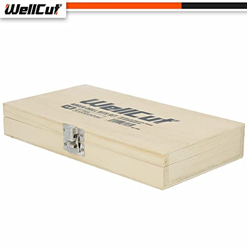 WELLCUT Auger Drill Bit Set 6 Piece (6mm to 20mm) Carbon Steel in Wood Case