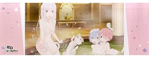 Re:ゼロから始める異世界生活　エミリア　レム　POPOON Amazon.co.jp: Re：ゼロから始める異世界生活 ポス×ポスコレクション