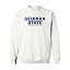 Georgia State Panthers White