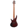 Ibanez SR505 - Bm basso elettrico #1