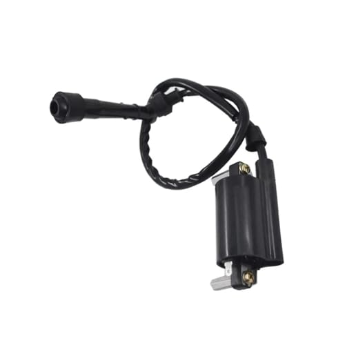 Bobina de encendido para Savage 650 LS650P compatible con modelos de 1986 a 2004