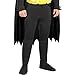 Party City Batman Costume for Men - DC Justice League Costume Includes Jumpsuit, Cape, Mask & More - Costumes for Halloween, Birthday Parties & Themed Event