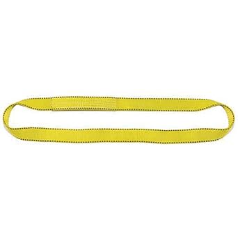 LIFTEX - Trusted Since 1955 | Polyester Lifting Sling | 3" x 14, 2-Ply Endless 16300lbs Vertical, 13000lbs Choker, 32600lbs Basket | Made in USA | Lifting Rigging Moving Towing Hoisting