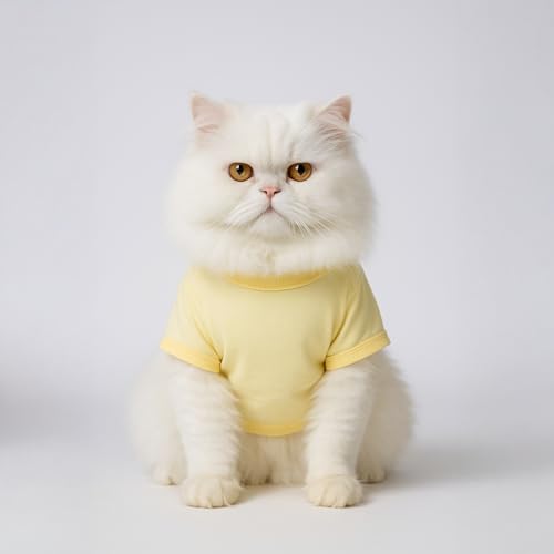 Image of Thunder Tails Printed Cat T-Shirt for Small to Large Cats & Kittens | Lightweight Breathable Cotton Pet Apparel | Cute & Stylish, Comfortable Round Neck Cat Clothes (L, Butter Yellow)
