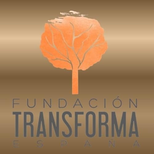 J&oacute;venes Emprendedores Sociales: Las soft skills