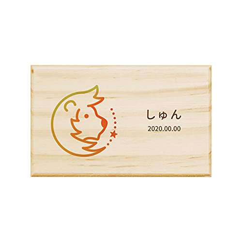 【名入れ無料】 へその緒ケース 星座 カラフル しし へその緒 松 お名前入り オリジナル 名入れ 名前 かわいい プレゼント 誕生日 出産祝い 内祝い へその緒入れ ギフト 松製 男の子 女の子 ラッピング デザイン ベビー 子供 キッズ 季節 四季 へ