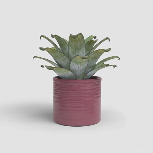 Artevasi Fortuna, Keramischer Blumentopf mit glasiertem Finish, 28cm, Pink
