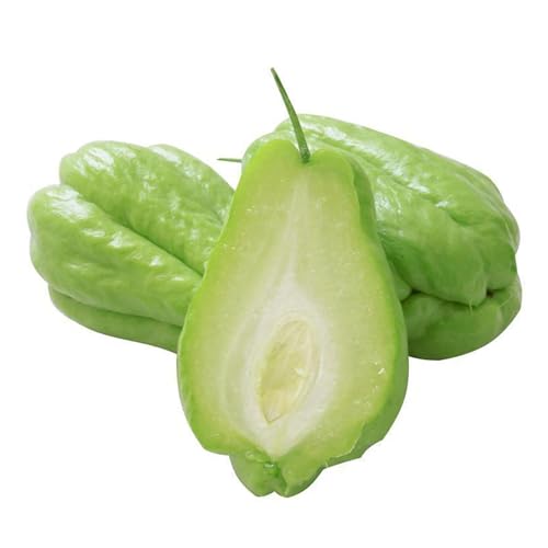 60 Stück Chayote Samen Zum Pflanzen Nicht Gvo Nährstoffe Gemüsesamen Garten Gemüse Chayote Samen Geschenk Für Gärtner Verde