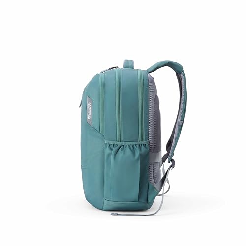 Image of American Tourister Brett 4.0 | 31 Ltrs | 3 Compartments | Bottle Pocket | Ergonomic Padded Back Panel & Shoulder Straps | Laptop Backpack | 1 Year International Warranty | Fern Green