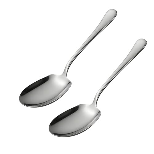 Ztolbriy 2 Stück Große Servierlöffel aus Edelstahl 25 cm Vorlegelöffel mit Langen Griffen - Ideal für Bankett Buffet Restaurant & Haushalt aus Hochwertigem Edelstahl
