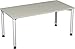 Produktbild Gera Möbel 4 Fuß Flex Schreibtisch, Holzdekor, lichtgrau/Silber, 160 x 80 x 72 cm