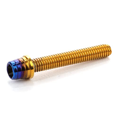 �L���b�v�{���g M5×30mm �e�[�p�[�V�F���w�b�h �J�X�^���{���g �f�U�C�� �w�b�h �X�e�����X�� �S�[���h&�`�^���J���[ 2�{�Z�b�g