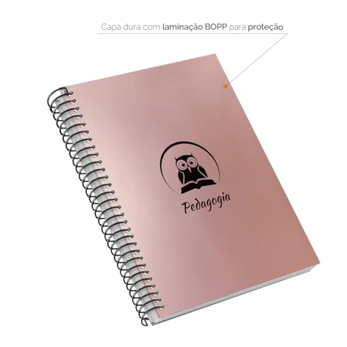 Caderno Colegial 10 Matérias Profissões Pedagogia (Rosê Gold)