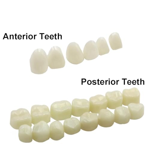 Image of Dental Temporary Crown Kit Anterior Front & Molar Posterior Mixed 100PCS | Whitening Protecting Molar Veneers 50 of Each