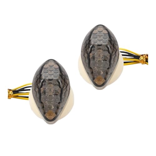 Ampoules de clignotants pour motos momt remplacez vos feux 12V