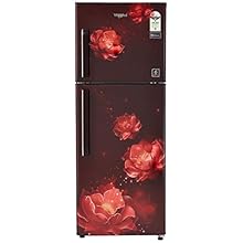 Whirlpool 245 L 2 Star Frost-Free Double Door Refrigerator (NEOFRESH 258H ROY 2S, Wine Abyss)