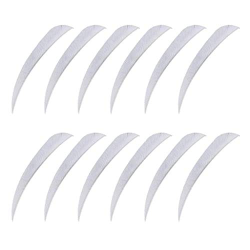 12{ 3In A[`F[̖ ʒ̉H HH zCg, 