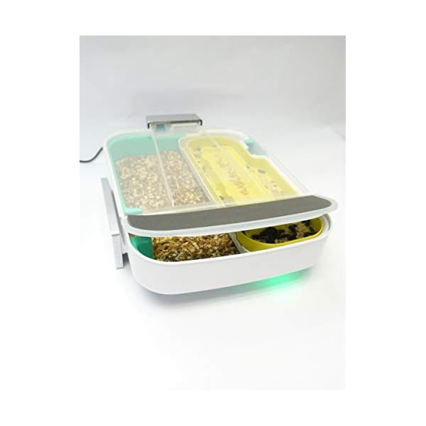 The Hive Explorer by Livin Farms Insect Mealworm Farm Edu Toy