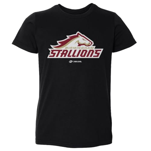 500 LEVEL Birmingham Stallions Primary Logo Toddler Shirt (Black, 2T)