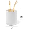 Amazon.com: Yew Design Matte White Toothbrush and Toothpaste Holder and ...