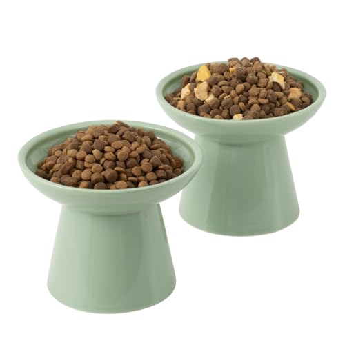 CEEFU Extra Wide Elevated Ceramic Cat Bowl, 6.2