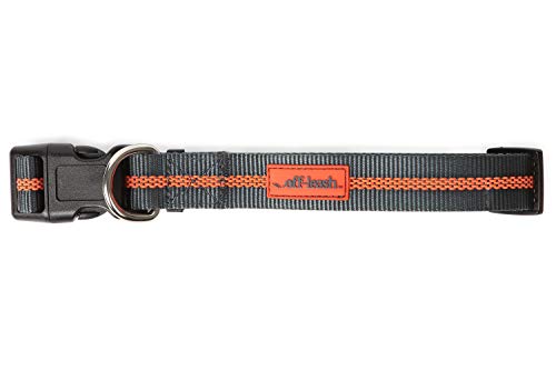 Dexas off-Leash, L, Collare per Cani Grande.