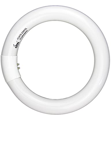Chkadawa Circular Bulb Fc8T9/Dl, 8 Inch T9 22W Circline Fluorescent Light Bulbs, Replacement Round Fluorescent Lamp Tube, Bright Daylight 6400K 1250 Lumens, G10Q 4 Pin Base, 2 Pack #TOP1