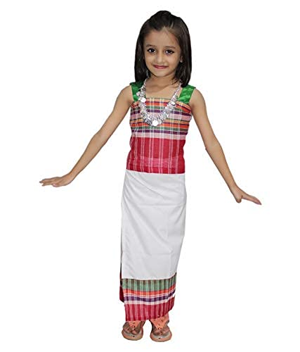 Kaku Fancy Dresses Polyester Blend Indian State Dance Costume Multicolor, 3-4 Years For Girls