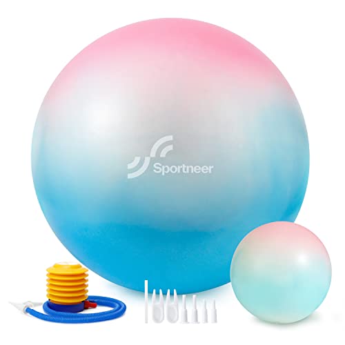 Sportneer Exercise Ball - Extra Thick Yoga Ball With Barre Ball And Quick Pump - Anti-Burst And Slip Resistant Fitness Ball Chair For Balance, Home Gym, Stability, Pregnancy And Physical Therapy #TOP21