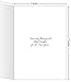Happy New Year Cards - One Jade Lane - Winter White, 5x7, Heavy Stock, Set of 18 Holiday Cards & Envelopes.