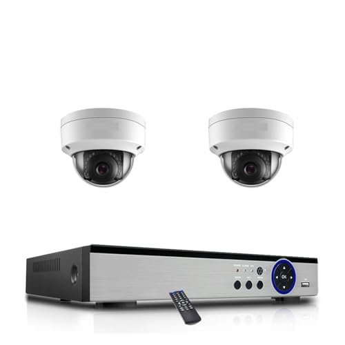 8CH POE NVRLbg 4K AI猟oZLeBJ ^ Oh[^hrfIĎZbg(1T,4CH NVR x 2PCS 4K)