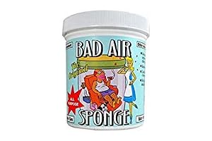 Nature's Air Purifying Sponge Odor Absorber