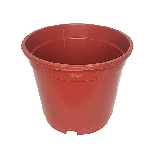 Image of Wonderland 8 inch Set of 3 Big Planter (Plastic Pots for Home Plants)