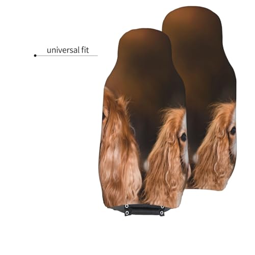 Funda universal para asiento de coche para perros Cavalier King Charles 6