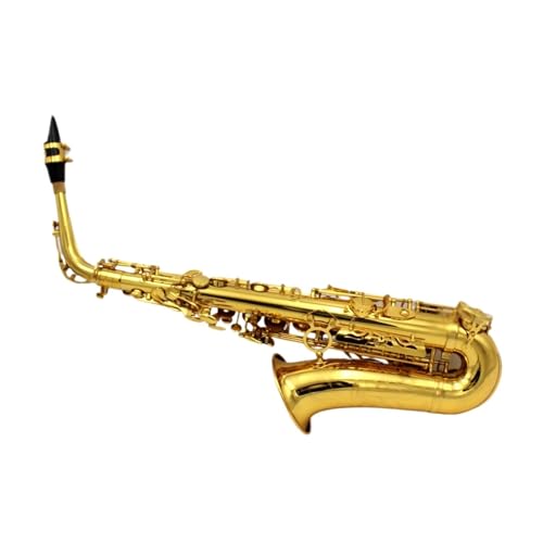 AgTbNX _uA[ Low BbABAC ߉\ȃp[L[t S҃TbNX