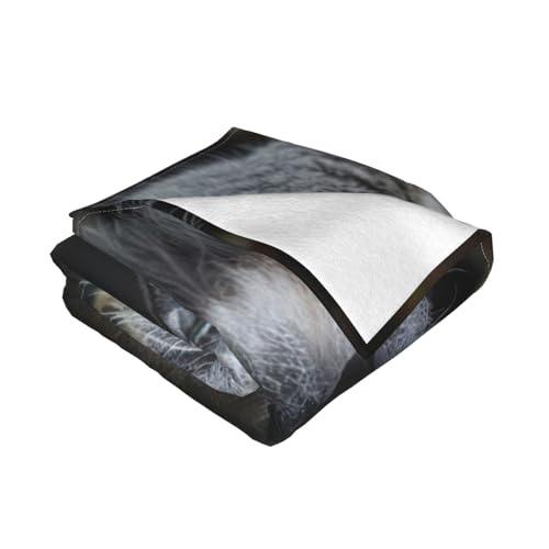 Couverture en microfibre Koala | Plaid double de qualité supérieure - 4