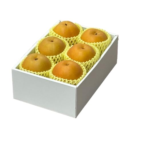  V 񂨂 Ɩ󂠂 傫܂ 2kg VY Ȃ iV