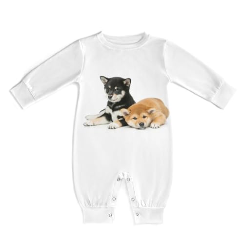 [NBKING] Č    xr[ p[X  Jo[I[ V j̎q ̎q  킢 Ԃ oYj v[g 0-24