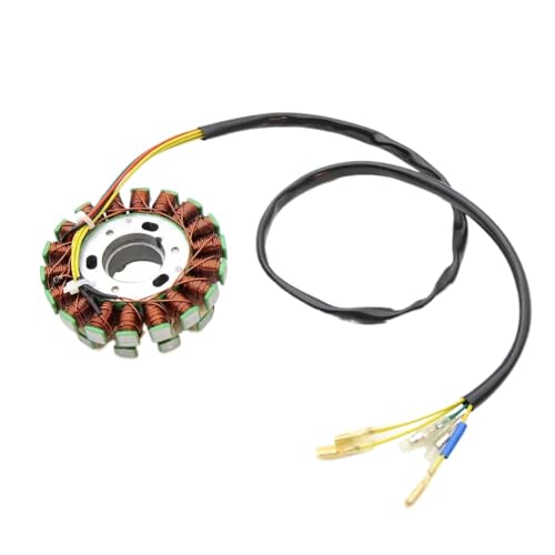 Stator de moto pour FC350 et FE400 bobine d'allumage robuste