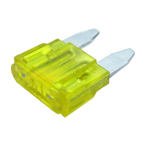 Fusible voiture 20A mini M2 avec tête de ramassage à pied long pour petites tailles, lot de 10pcs