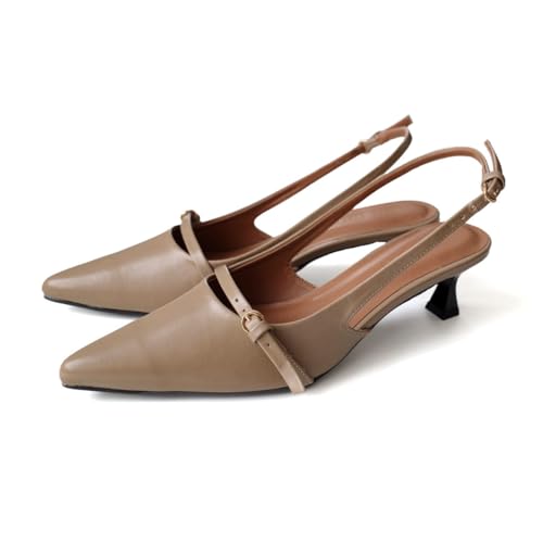 [A~A~] pvX xg fUC obNXgbv ~[ fB[X C  Ip (O[W(X[X),22.5cm) SY035