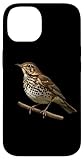 jz.birds