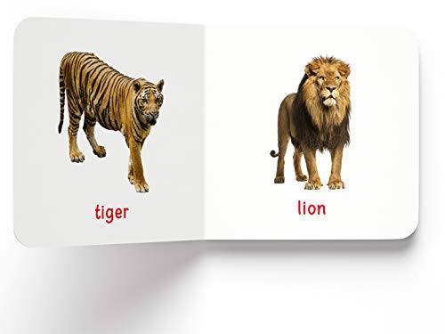 Wonder House Books My First Of Wild Animals: First Board