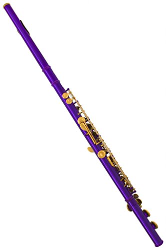 image for 180-PR-N - PURPLE/LACQUER Keys Closed C Flute Lazarro+Pro Case,Care Ki