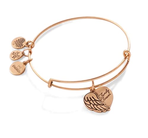 Alex and Ani 'Family Forever' Angel Wing Heart Charm Bangle
