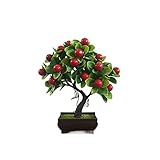 Exécution exquise, pas de décoloration, a toujours l'air frais